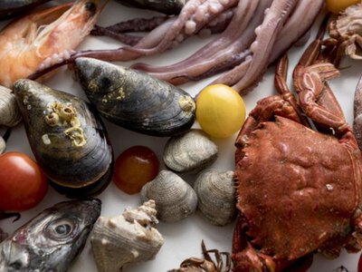 Мясо, рыба, морепродукты оптом для бизнеса: «Купи ракушку»