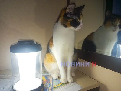 Подготовка к зимнему периоду: где в Николаеве и области 26 октября не будет света