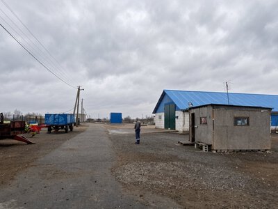 АРМА готовит к управлению молочный комплекс в Полтавской области: что известно об арестованном активе
