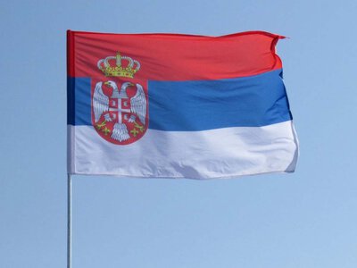 Антитела к улице. Как Европа вырабатывает иммунитет к погромам и при чем тут сербские выборы