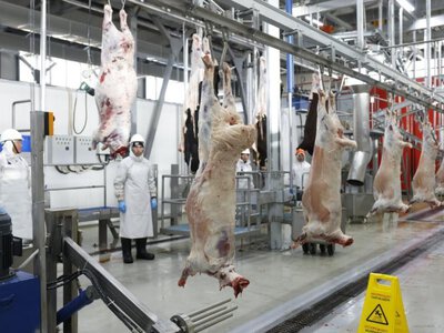  В Алматинской области открыли мясоперерабатывающий завод за 3 млрд тенге 