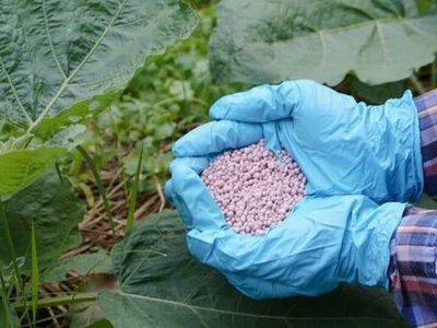 Европейские фермеры сокращают закупку удобрений: как высокие цены угрожают будущему урожаю