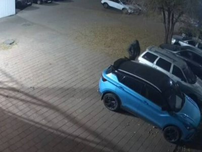  С таким соседом и врагов не надо: в Караганде раскрыли кражу из машины 