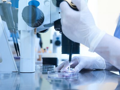  Ferring приобретет biotech-компанию Gameto за $1,38 млрд: 20-й единорог украинского фонда TA Ventures 