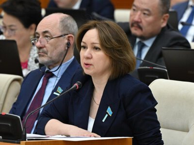  Декриминализация и защита бизнеса: Снежанна Имашева о поручениях Президента 
