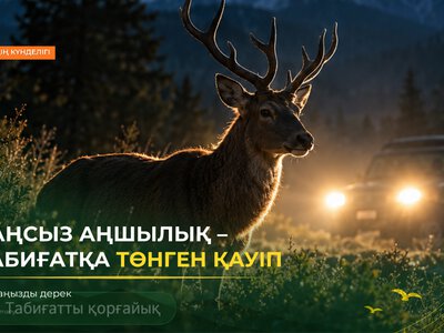Какая ответственность предусмотрена за незаконную охоту?