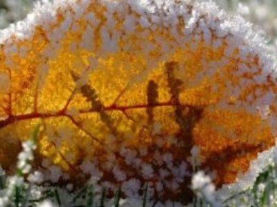 Украинцам рассказали о погоде на 30 октября