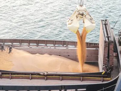 Россия впервые за три месяца возобновила экспорт зерна через Азовское море
