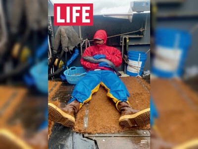 Журнал Life, вдохновивший фильм «Невероятная жизнь Уолтера Митти», вновь возрождается