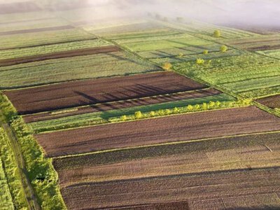 С начала года в Украине продали 233 тысяч гектаров земли: сколько платят граждане и бизнес
