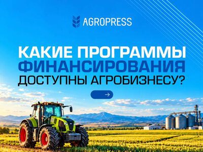 Какие программы финансирования доступны агробизнесу