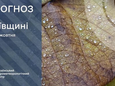 Дожди накроют часть Украины: прогноз погоды на 31 октября