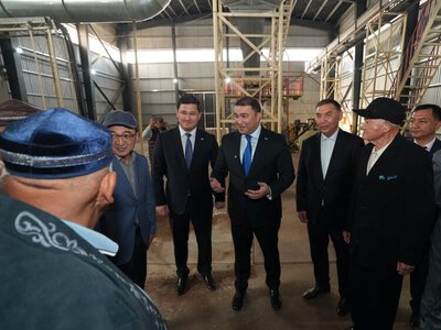 ПОРУЧЕНИЕ ПРЕЗИДЕНТА: В ЖЕТЫСАЙСКОМ РАЙОНЕ ТУРКЕСТАНСКОЙ ОБЛАСТИ ОТКРЫЛСЯ СОВРЕМЕННЫЙ ХЛОПКОВЫЙ ЗАВОД