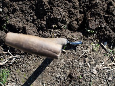 Дачники весь час роблять цю помилку під час перекопування: вона псує урожай на весь рік
