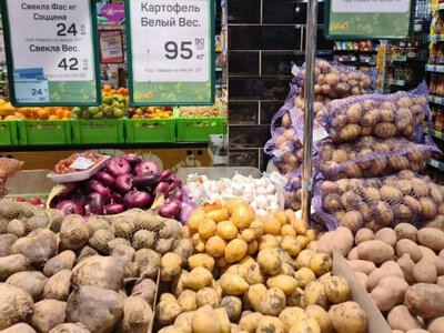 В Крыму ожидают повышения стоимости картофеля: убрано менее половины полей