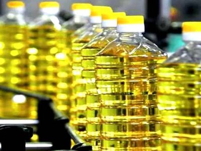 10 новых заводов за время войны: украинская масложировая отрасль наращивает объемы переработки